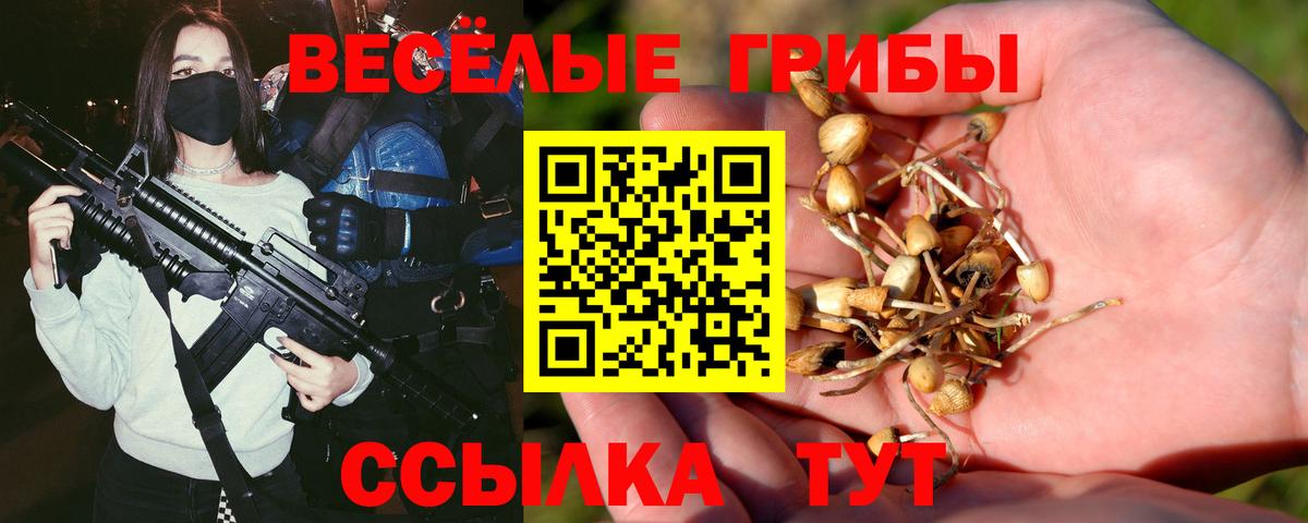 Псилоцибиновые грибы GOLDEN TEACHER  дарнет шоп  Дубна  Вход с VPN 